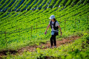 BIB: 
                            <button type="button" onclick="openModal(19161843)" class="btn btn-primary btn-sm float-right btn-popup" data-toggle="modal" data-target=".modal-high-quality">
                        <i class="fas fa-shopping-cart"></i> Add to Cart
                    </button>
                                            <button type="button" onclick="isThisMe(19161843, true)" class="btn btn-success btn-sm float-right btn-popup btn-isme hidden" data-toggle="tooltip" data-placement="bottom" title="นี่คือรูปของคุณใช่ไหม คลิกที่นี่เพื่อเอาเข้าอัลบั้ม">
                        <i class="fas fa-plus"></i> Add to album
                    </button>
                    <button type="button" onclick="isThisMe(19161843, false)" class="btn btn-warning btn-sm float-right btn-popup btn-isnotme hidden">
                        <i class="fas fa-ban"></i> Remove from album
                    </button>